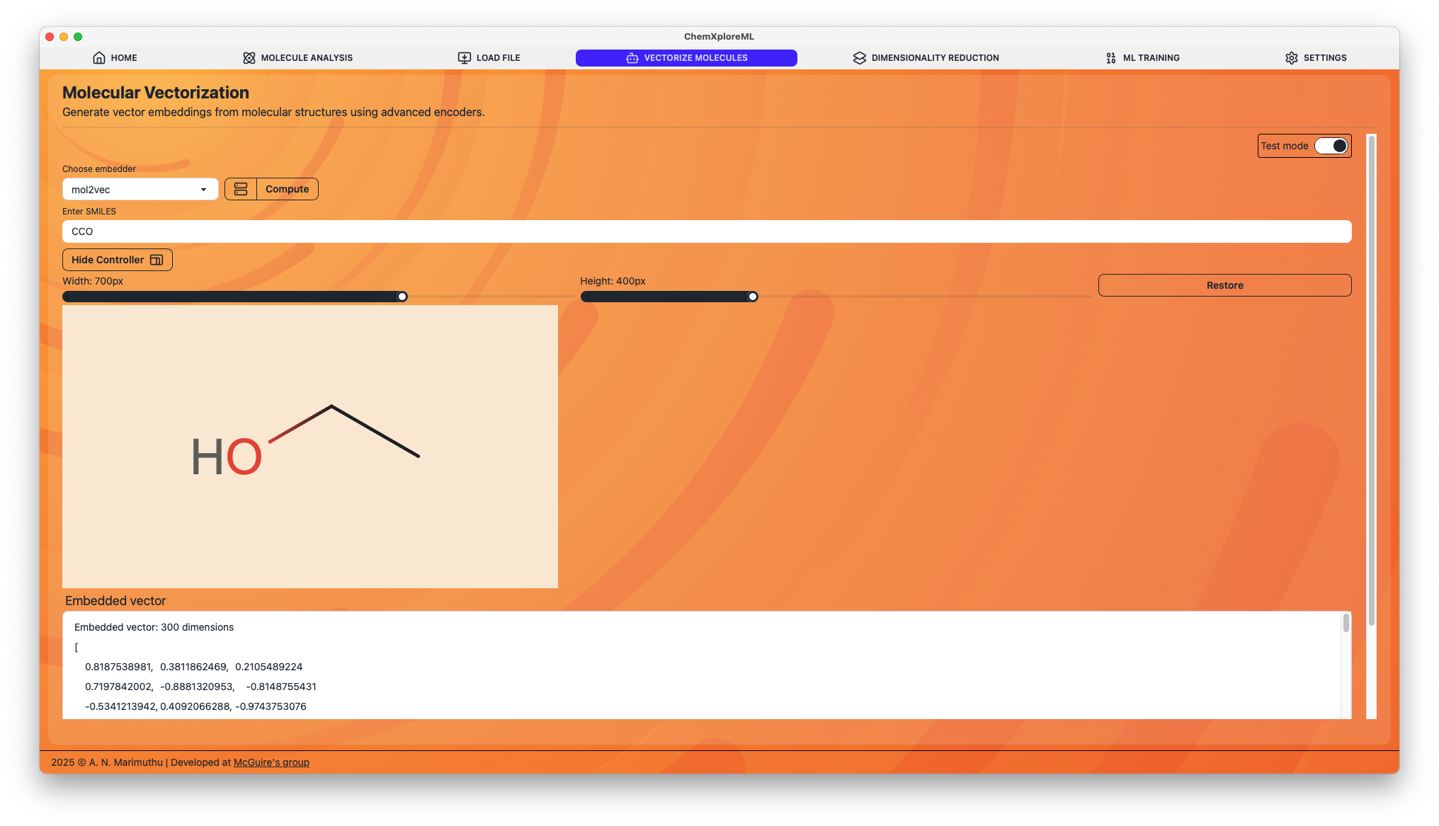 Vectorization Process